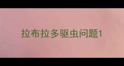 拉布拉多驱虫问题