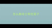 怎么教哈士奇住笼子