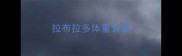 拉布拉多体重食量
