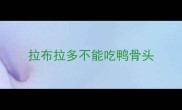 拉布拉多不能吃鸭骨头