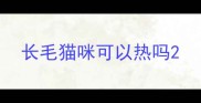 长毛猫咪可以热吗
