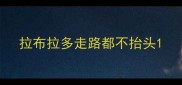 拉布拉多走路都不抬头