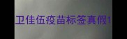卫佳伍疫苗标签真假