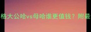 哈士奇价格大公哈vs母哈谁更值钱附最新饲养指南