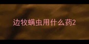 边牧螨虫用什么药
