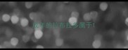 成年的拉布拉多属于