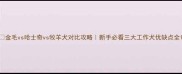 金毛vs哈士奇vs牧羊犬对比攻略新手必看三大工作犬优缺点全
