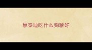 黑泰迪吃什么狗粮好