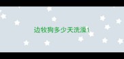 边牧狗多少天洗澡