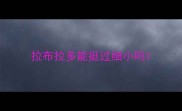 拉布拉多能挺过细小吗