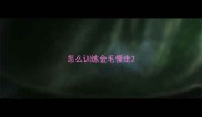 怎么训练金毛慢走