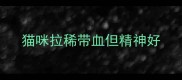 猫咪拉稀带血但精神好