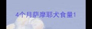 4个月萨摩耶犬食量