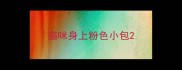 猫咪身上粉色小包