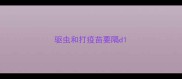 驱虫和打疫苗要隔d
