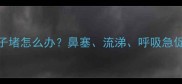 猫咪打完疫苗后鼻子堵怎么办鼻塞流涕呼吸急促全攻略附护理清单