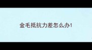 金毛抵抗力差怎么办