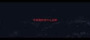 可爱猫咪有什么品种
