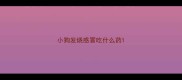 小狗发烧感冒吃什么药