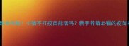 5大致命风险小猫不打疫苗能活吗新手养猫必看的疫苗指南