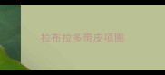 拉布拉多带皮项圈