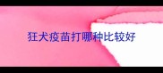 狂犬疫苗打哪种比较好