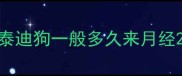 泰迪狗一般多久来月经
