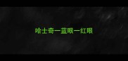 哈士奇一蓝眼一红眼