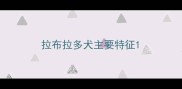 拉布拉多犬主要特征