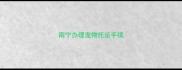 南宁办理宠物托运手续