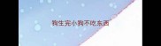 狗生完小狗不吃东西