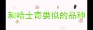 和哈士奇类似的品种