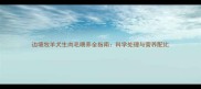 边境牧羊犬生肉毛喂养全指南科学处理与营养配比