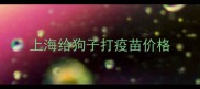 上海给狗子打疫苗价格