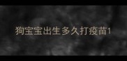 狗宝宝出生多久打疫苗
