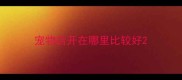宠物店开在哪里比较好