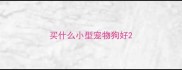 买什么小型宠物狗好