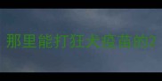 那里能打狂犬疫苗的