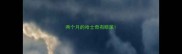 两个月的哈士奇有眼屎
