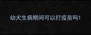 幼犬生病期间可以打疫苗吗