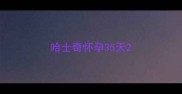 哈士奇怀孕35天