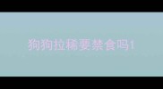 狗狗拉稀要禁食吗