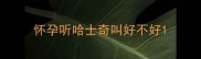 怀孕听哈士奇叫好不好