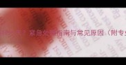 拉布拉多前腿抖一天紧急处理指南与常见原因附专业兽医建议