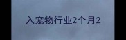 入宠物行业2个月