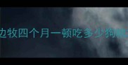 边牧四个月一顿吃多少狗粮