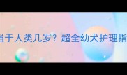 3个月大哈士奇相当于人类几岁超全幼犬护理指南附成长时间表