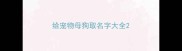 给宠物母狗取名字大全