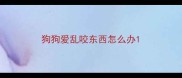 狗狗爱乱咬东西怎么办