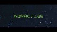 泰迪狗狗肚子上起皮
